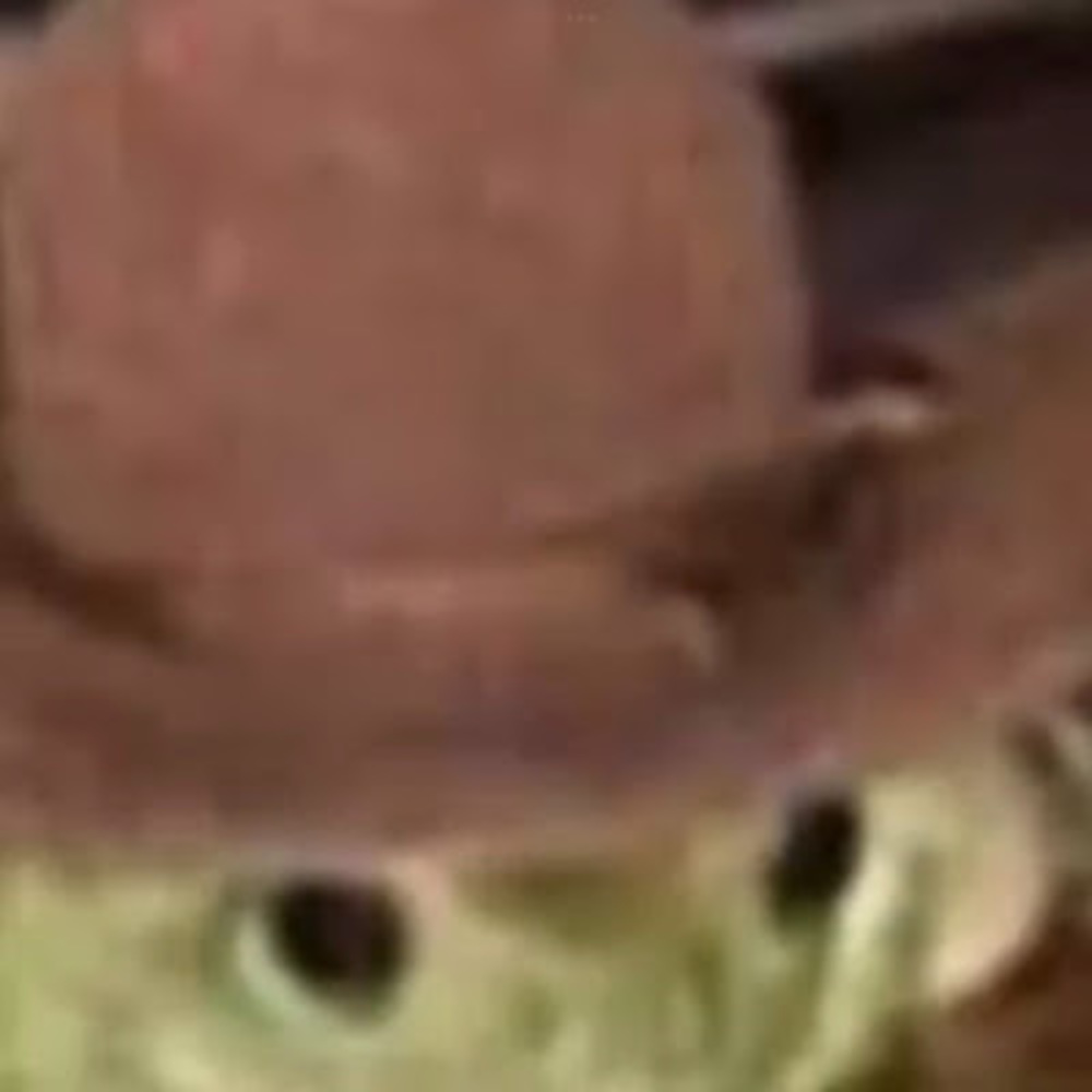 Meet your Posher, Alyce